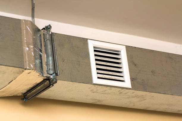 Air Duct Mold Removal in Walla Walla East, WA